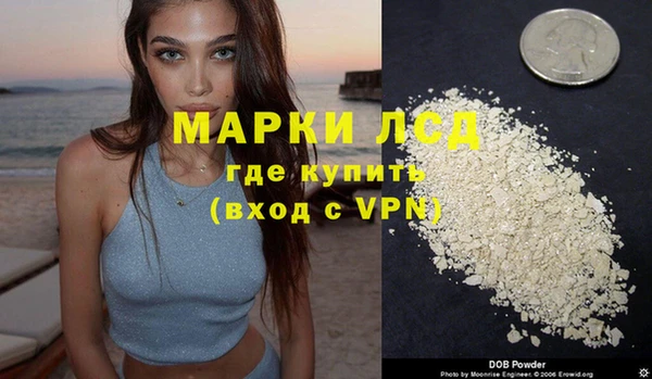 мяу мяу мука Белокуриха